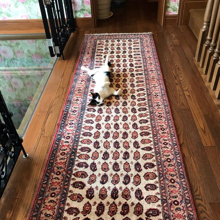 4b558dc1 0c40 47db 921d ba28f36e4ef0 1559581303619