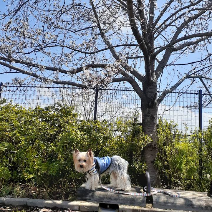 4b55a4cc dc4b 4ed6 a36d b54a80d00d10 1585451977430