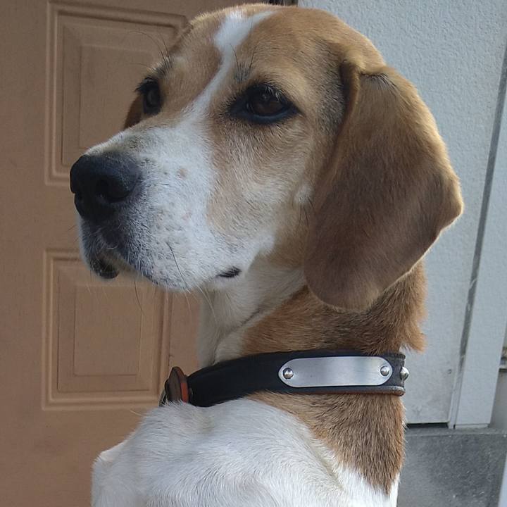 4b55bc5b f5fa 4fa0 ba2f 6187b667a3b3 1657944722080