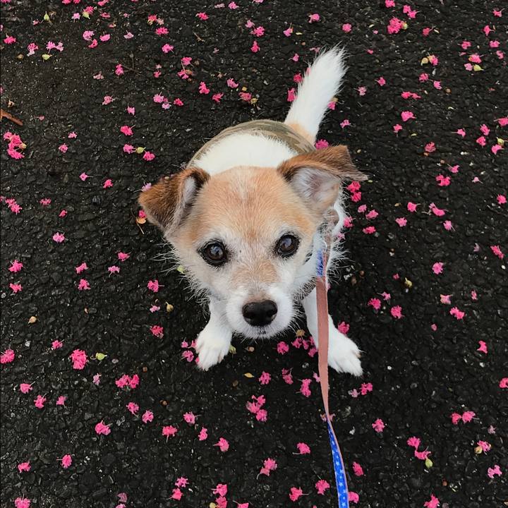 4b55ca82 373a 4234 abef 5151fe3b6cf6 1660436104008