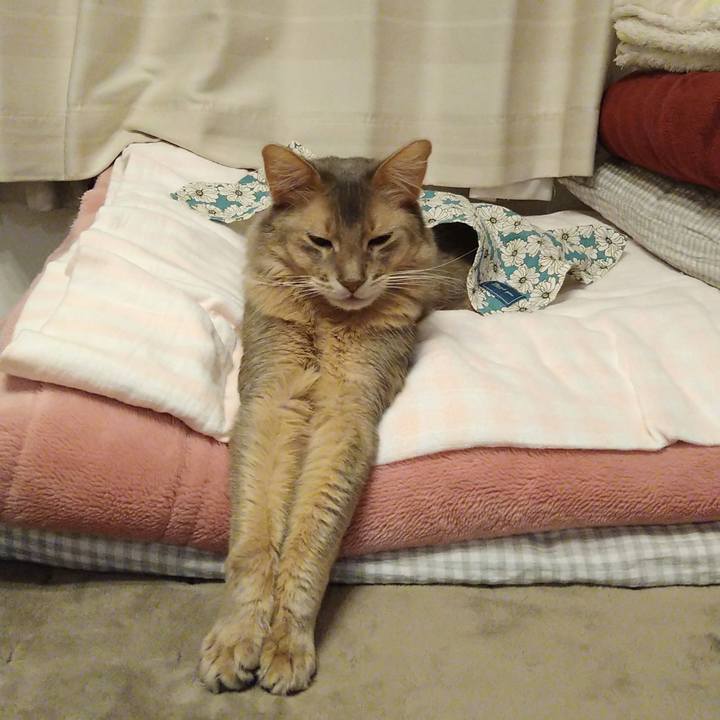 4b55cc5d 2fd3 41f8 a3d2 e6dce45aa3f8 1616577331097