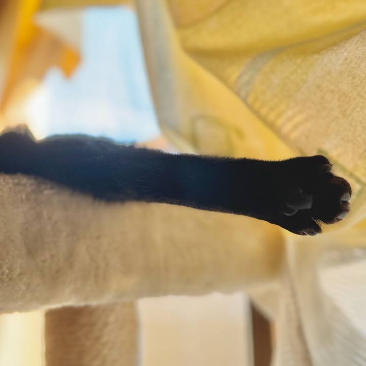 4b55ff3b 82bd 45a3 a2dc f08cf3ed6a0d 1758935675259