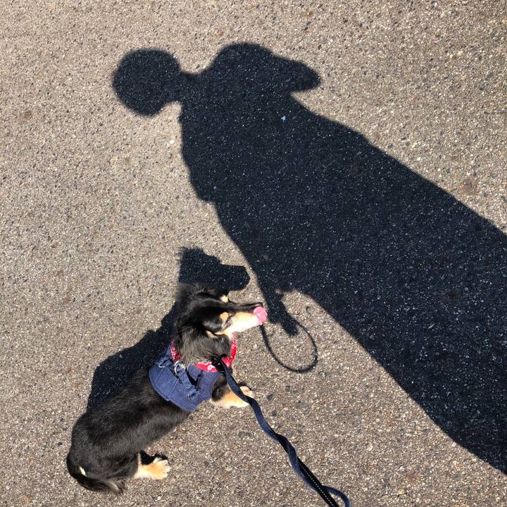 4b560637 5e90 4ac6 9178 2d8189f8e54d 1601340721824