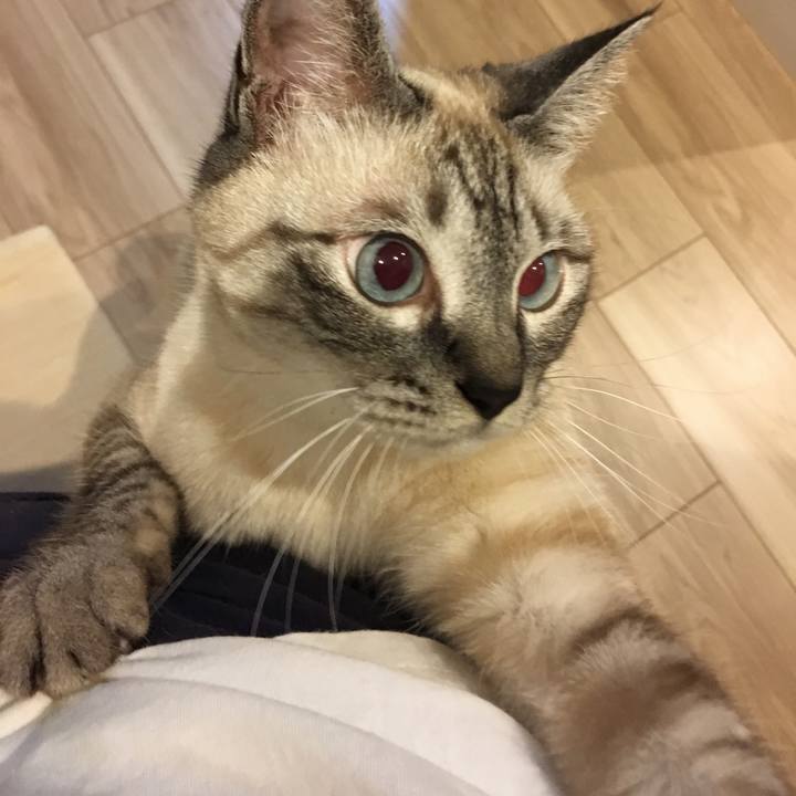 4b5630dd 35fb 4fc4 a551 1585fb7770fe 1593604103203