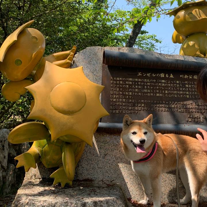 4b563483 a5f0 45f3 966d ac932cb6b246 1588149625775