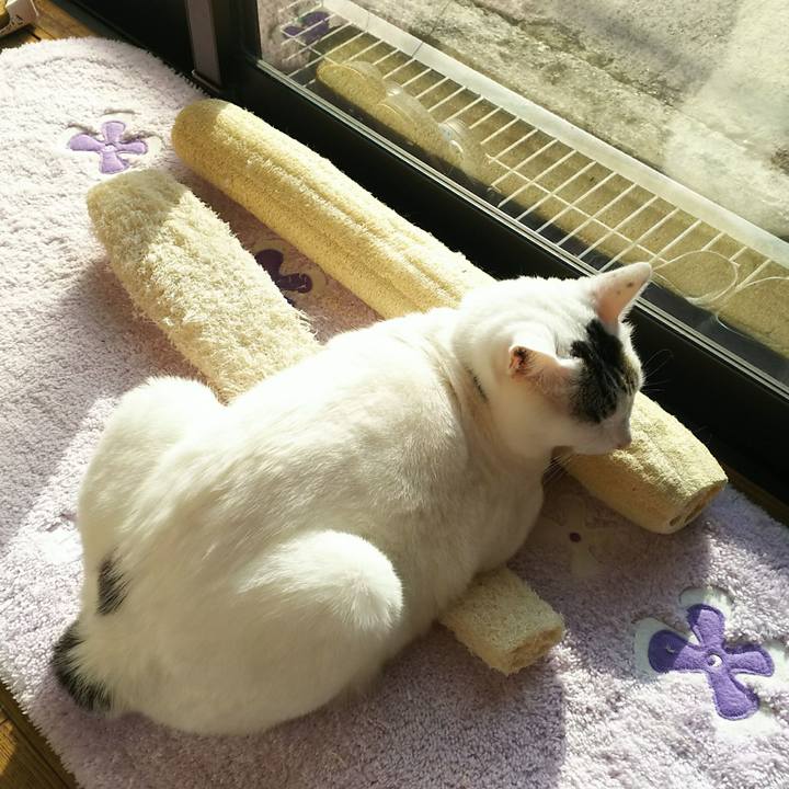 4b5636cd 52b8 4fe0 9e99 950c7993b9d8 1516529494963