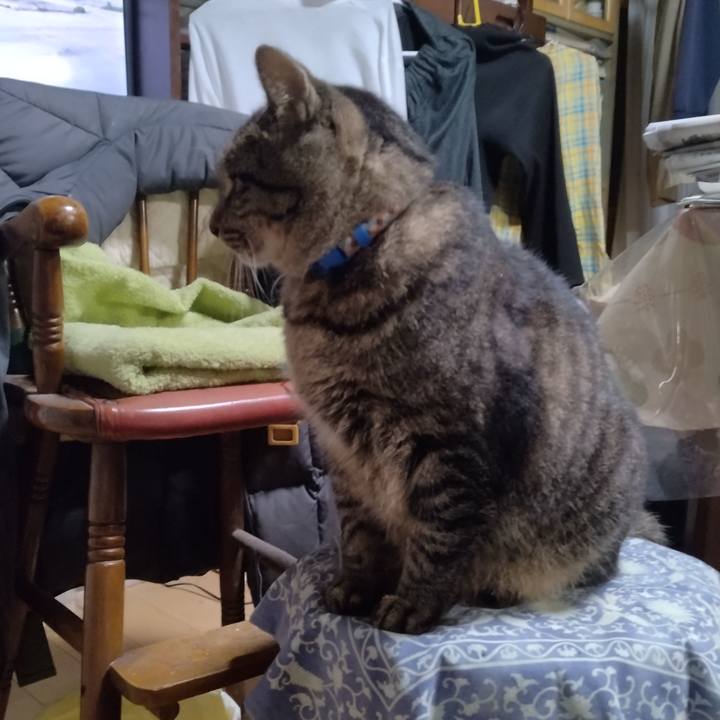 4b568cc0 918f 47bd a31b 253ae2782cbd 1699183683721