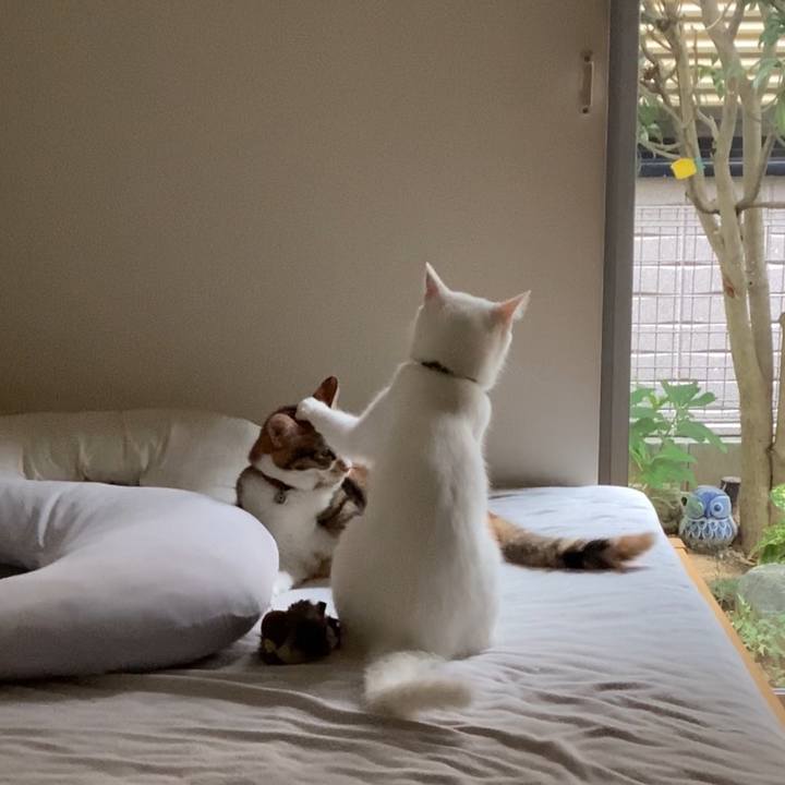 4b56db35 9244 41b5 b58b e17e805ecc4c 1661742933616