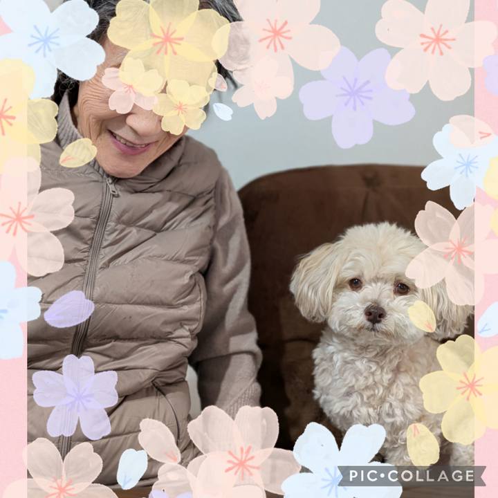 4b56de8f 56f7 436a b13f 2d0f739f6d44 1773377317658