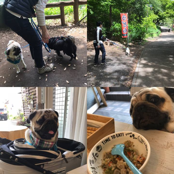 4b56f83f 5986 4cf3 b038 60ae91719dfe 1556426186281