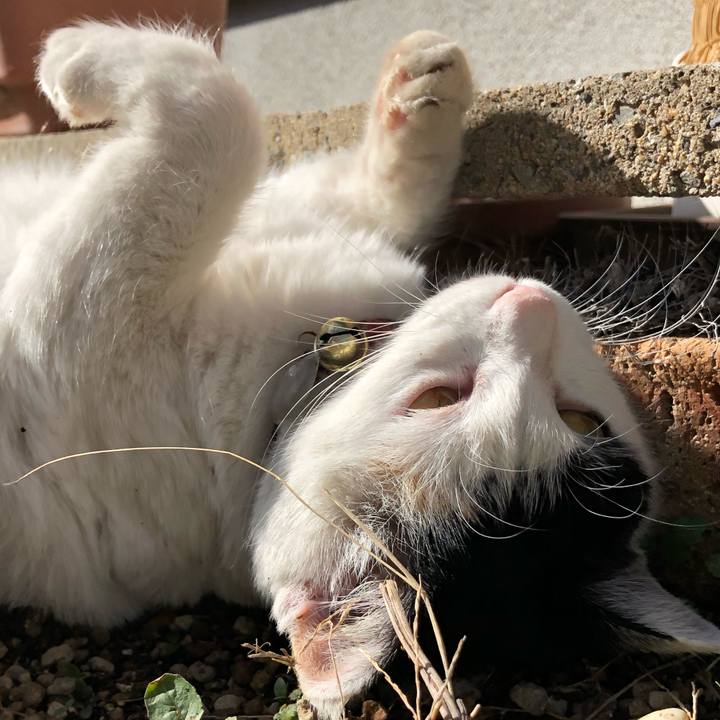 4b571768 250f 40d7 adc5 f7fc286fb754 1611549330500