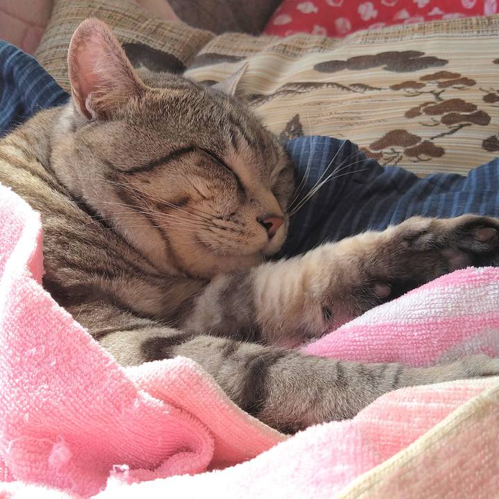 4b5722f0 6b4c 4fb8 bb7a 03917d1f5dec 1583895599302