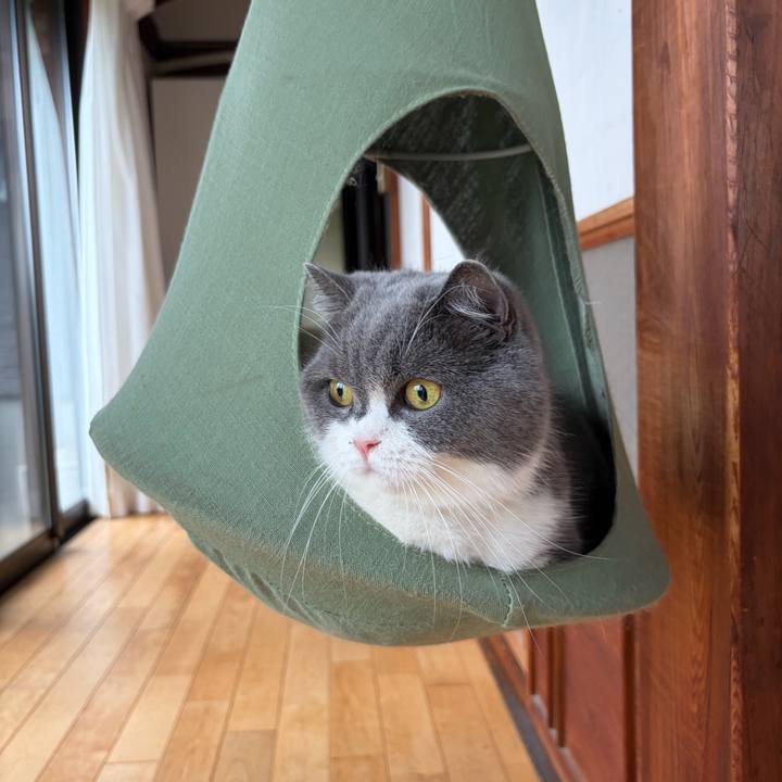 4b581315 3015 4b3b 9d66 54d849bed17a 1761437697778