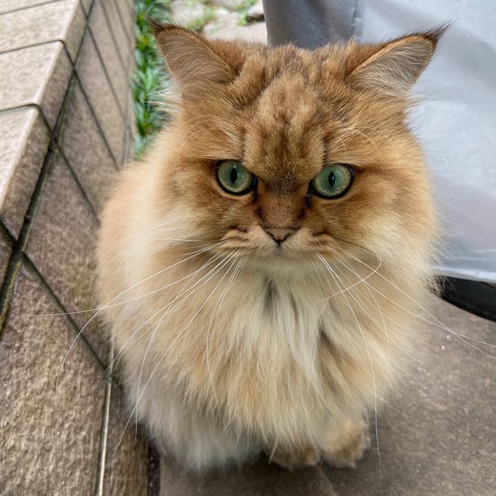 4b589fab 719a 4c32 9e9b 43a3d2e137d9 1600651326212