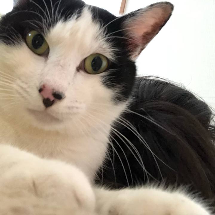 4b58a44e 32e5 49b3 a950 23c6a0cb4830 1556486318190