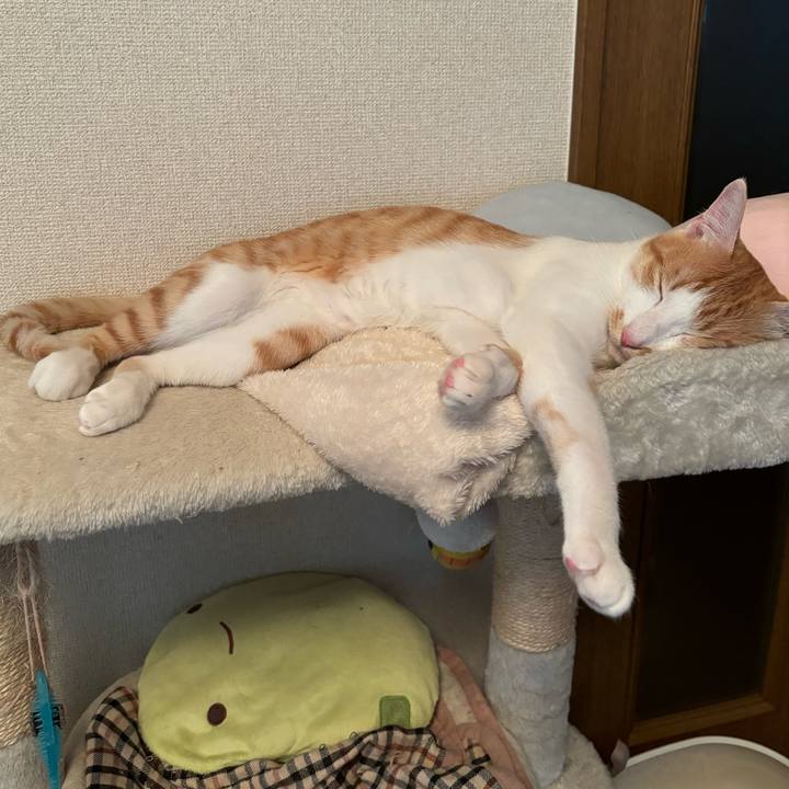 4b58ba4f 6757 48a2 9a6f 4b8920f8093c 1720610924729