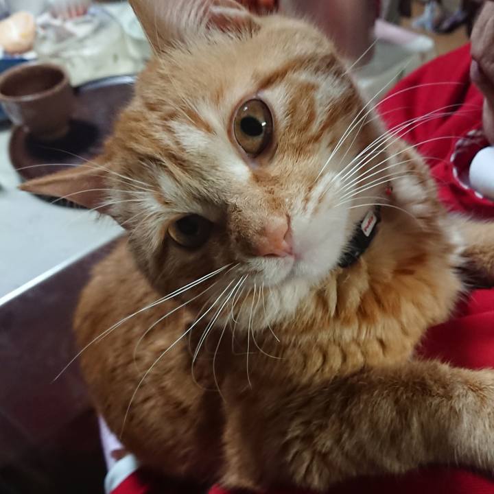 4b58c62b c618 4a2f b88c eb872c7bef17 1646998611097