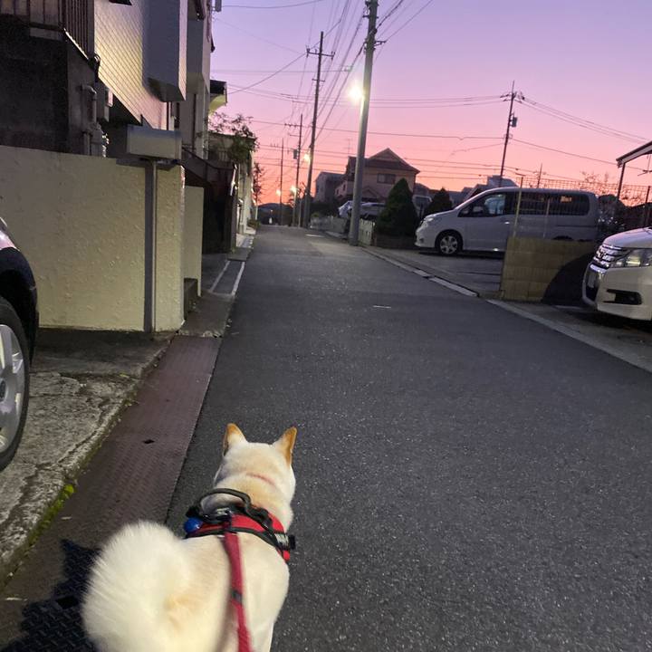 4b58fad4 28ce 4c9d 9c18 8eae19537a88 1572604821518