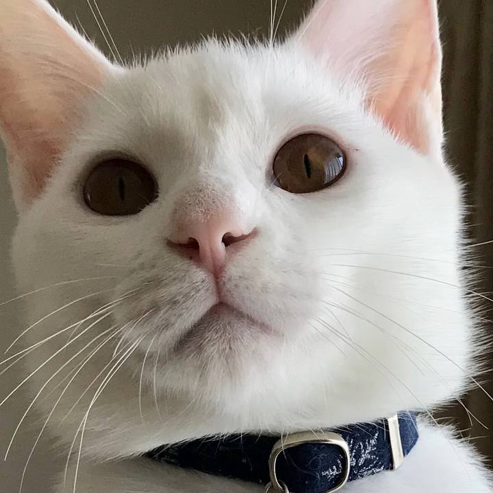 4b591f81 b5d6 41b2 af2f 80ce3bc85283 1573186170968