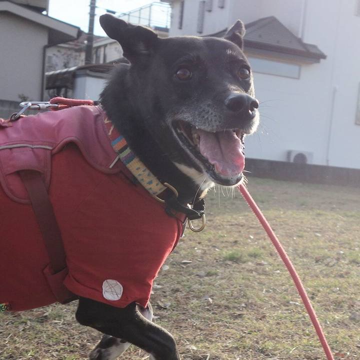 4b59278c c18d 4892 ab72 dd495e17a874 1703033154305