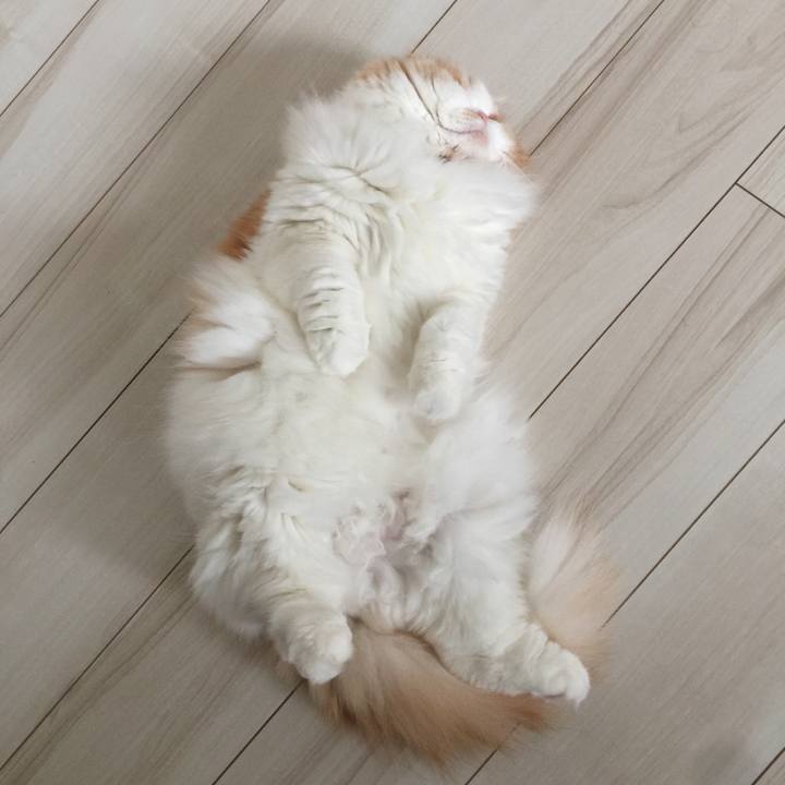 4b59454c 3617 463e a1d5 4018e810a9f3 1571441125815