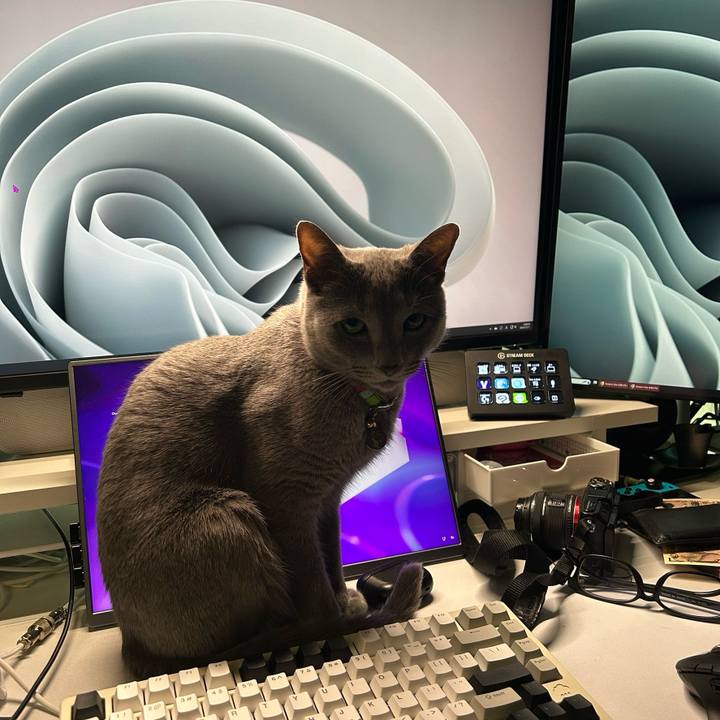 4b594d5c 4ecd 43b0 99df 3635fd959f66 1734403872664