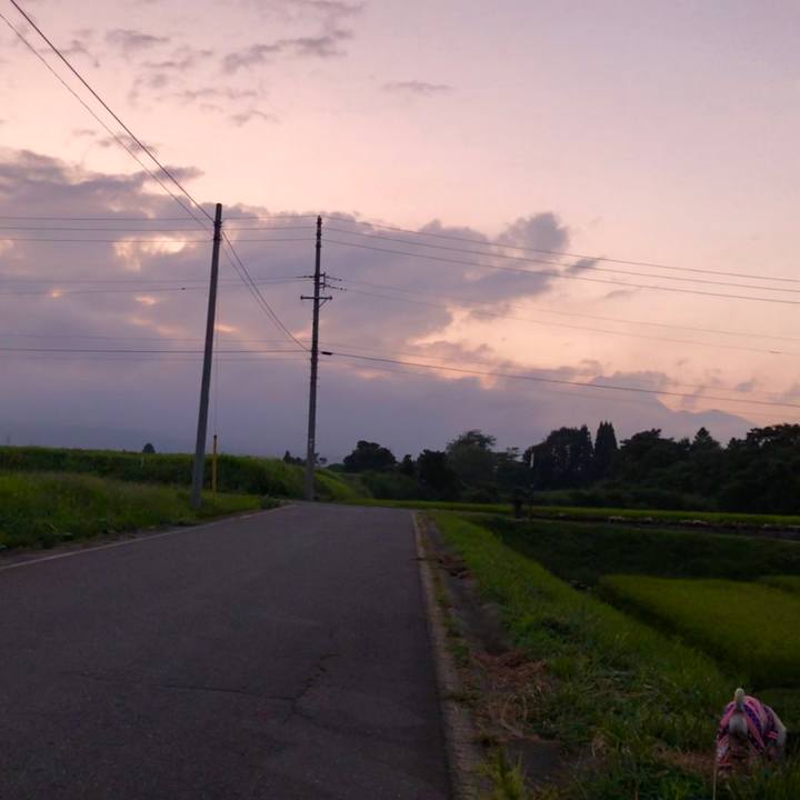 4b594e1d f70f 4967 be83 326dad2f7d99 1566043029407