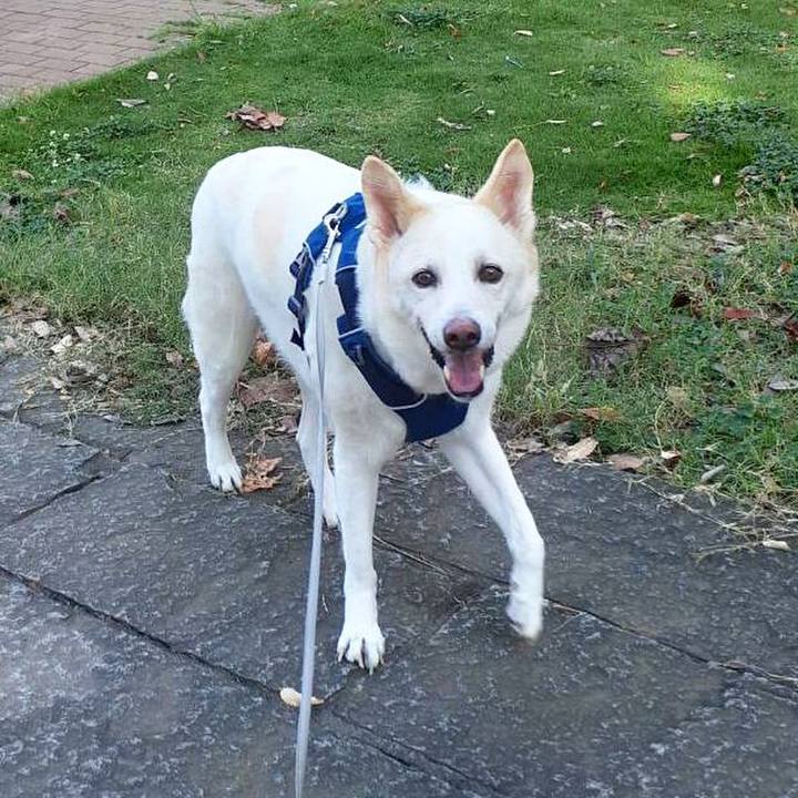 4b5970da ef6b 4d0d b7ea 23e67472b07a 1760871972177