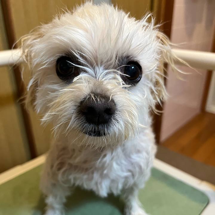 4b59b581 b93d 42ae 96cf a4588c7cbdc1 1664798142834