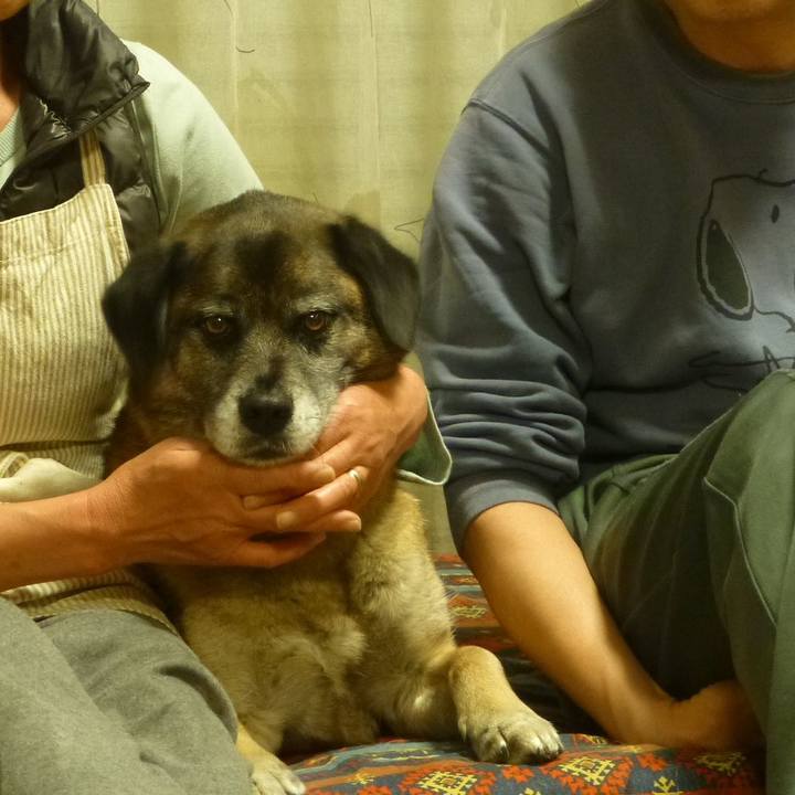 4b59ddff 5ae8 4560 b4a2 569e90304fc0 1581687059582