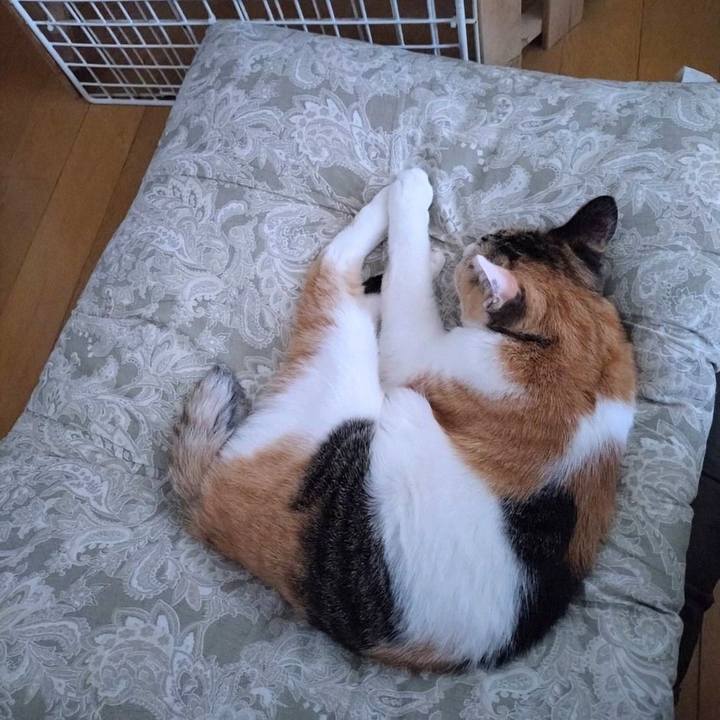 4b5a17d5 05a0 4d8e bb65 7b83e8ddc6fd 1742196897755