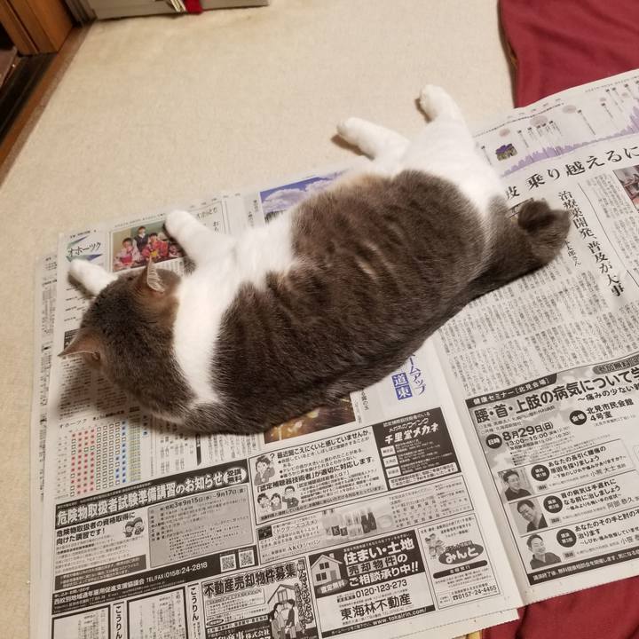 4b5a190a 16ef 4df5 a7b3 7f1e25a137df 1629715406431