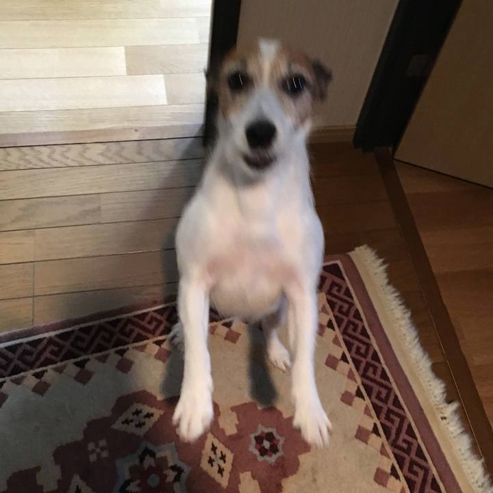 4b5a3c8e 9535 45c1 9bc8 05f50d2cef3e 1562230810551