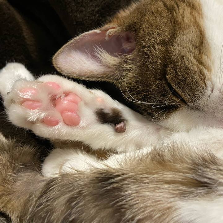 4b5a5a57 41fa 40e1 bd61 edc2268de9b9 1581164579429