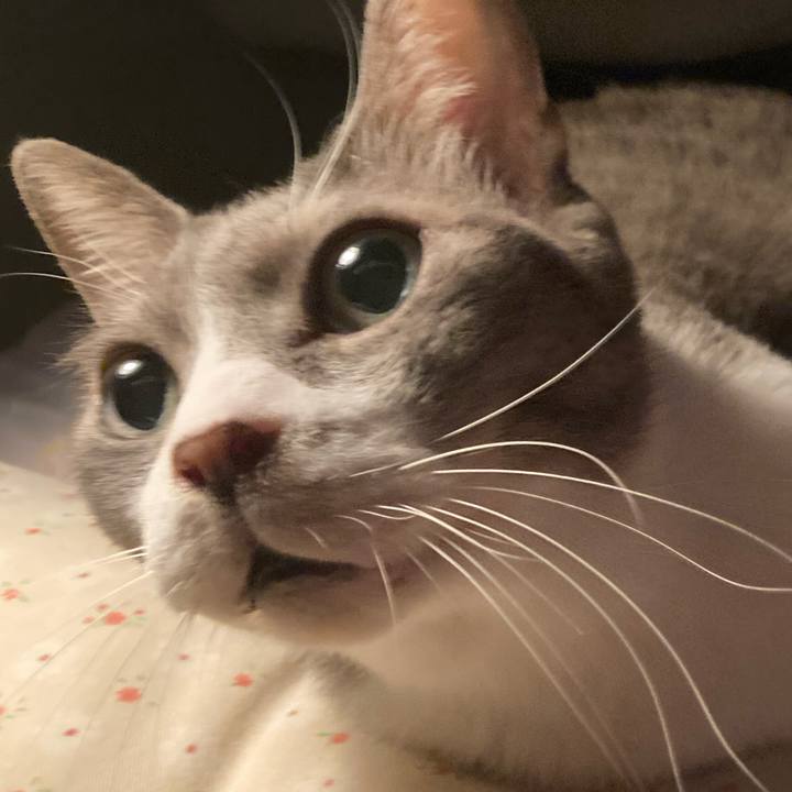 4b5a5f87 c141 44d5 9a16 e8c93ce1ec0c 1693055792606