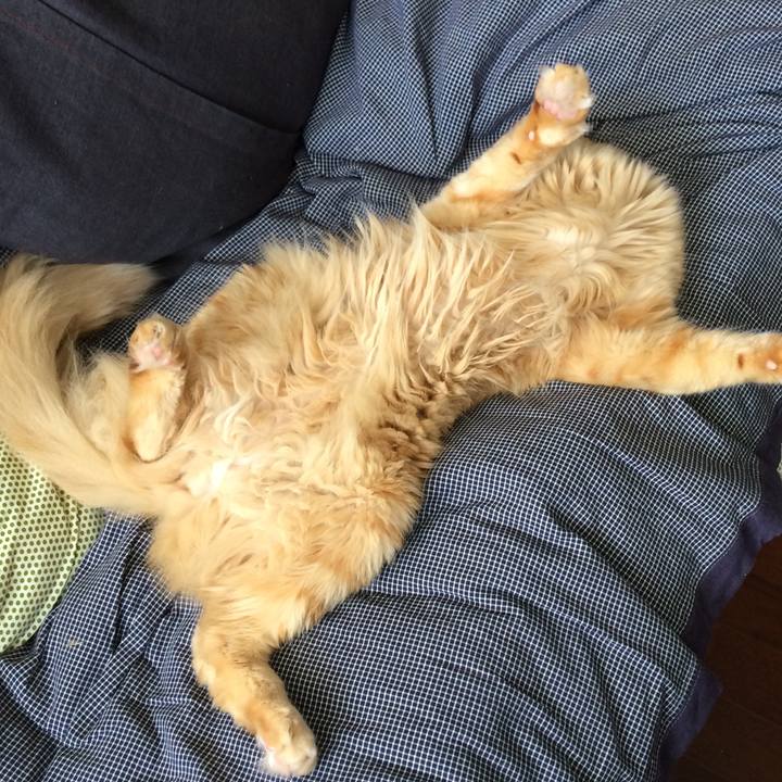 4b5a6677 b33a 4f61 9fd1 119d1a2f8be0 1525981230242