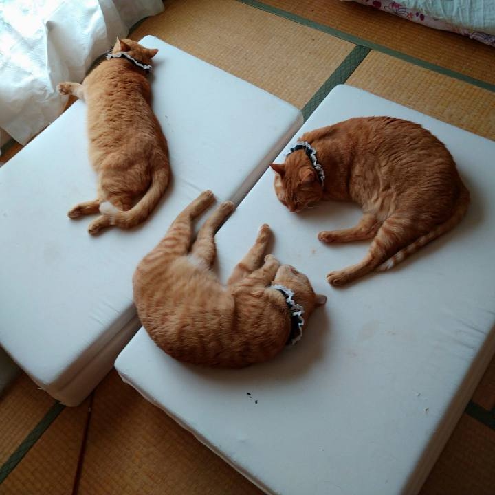 4b5a6df9 ad6c 4be1 91d2 369f3d6622d6 1600154592966