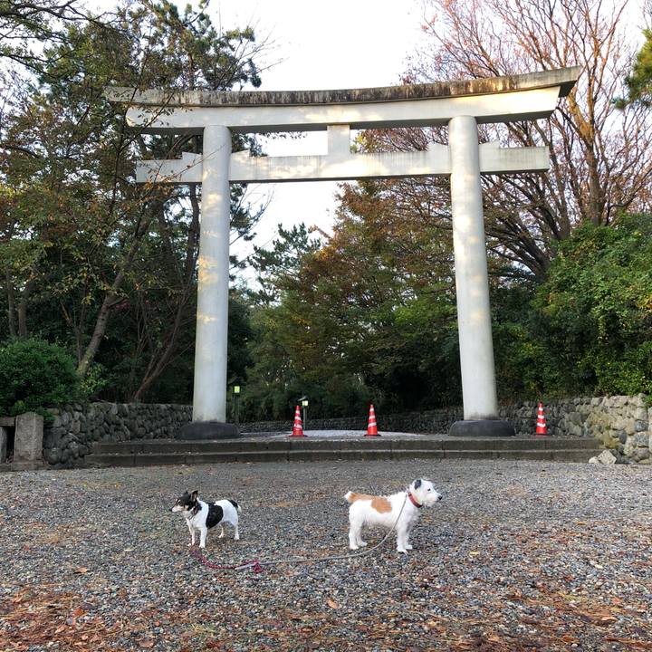 4b5a8ba8 a1ab 449f b4f9 b0a5460e946b 1573078797906