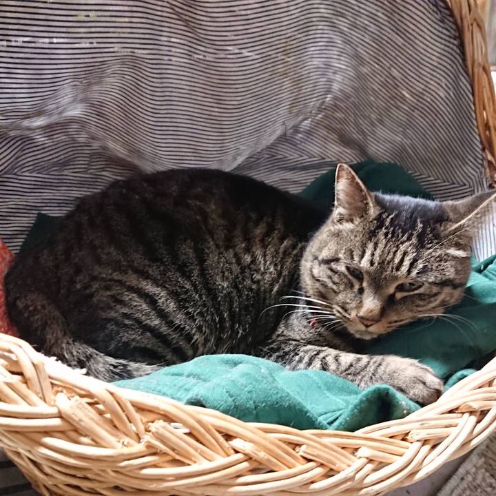 4b5aaa47 fc53 4888 a298 64183e054ca0 1642768363241