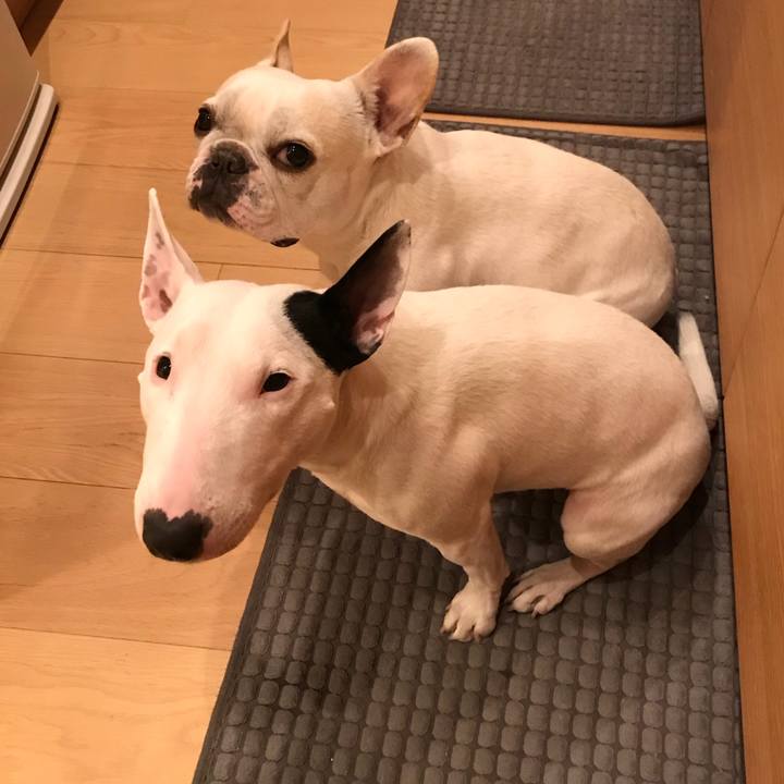 4b5ad4dc 4627 477f 80a6 4c11dfcb80f2 1515479794553