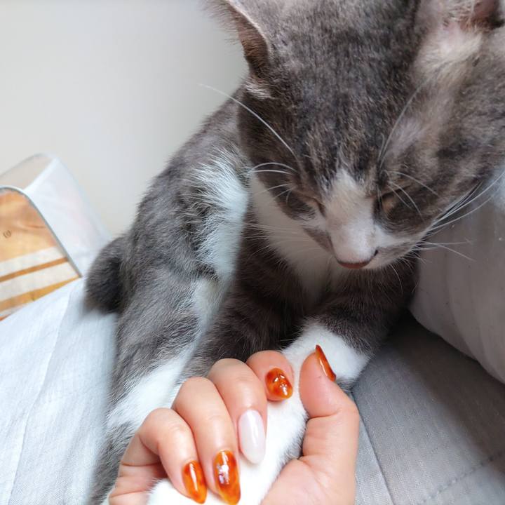 4b5aee22 93fc 4256 9aea 41db23d3d879 1662174757692