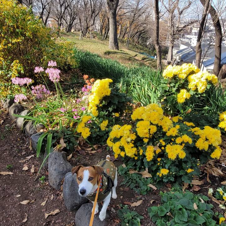 4b5b0ef1 fd45 44c5 b793 c7b711635371 1703052262947