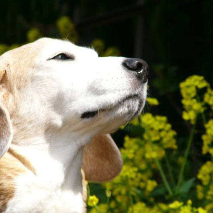 4b5b3f38 4ea2 4fa4 8e00 630098c5843e 1680232729551