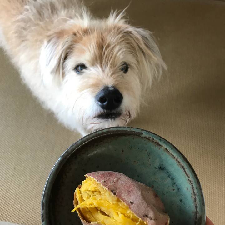 4b5b45a3 5e8a 4272 9e01 f42909289c7b 1589157367772