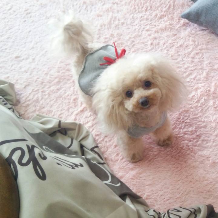 4b5b4e71 e594 468b ba97 a911139acd24 1553943355179