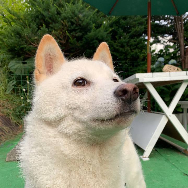 4b5b5012 418a 4b5a 8bf7 3dfe31873c68 1562621580345