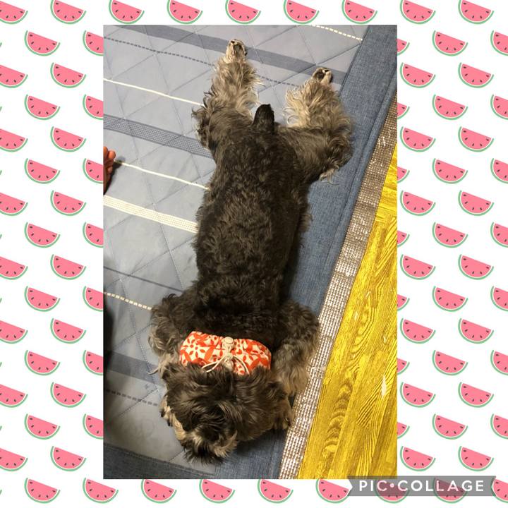 4b5b53d9 4288 4433 b0f2 0efc3b7addd8 1691144176957