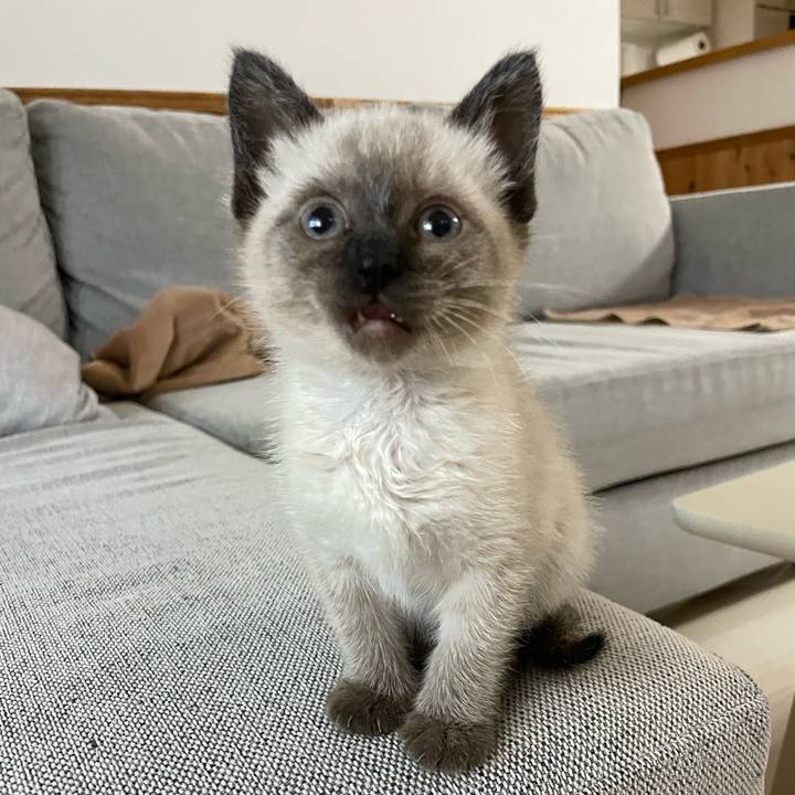 4b5bf38f 4b82 4090 9df4 d66b7588529c 1686343017124