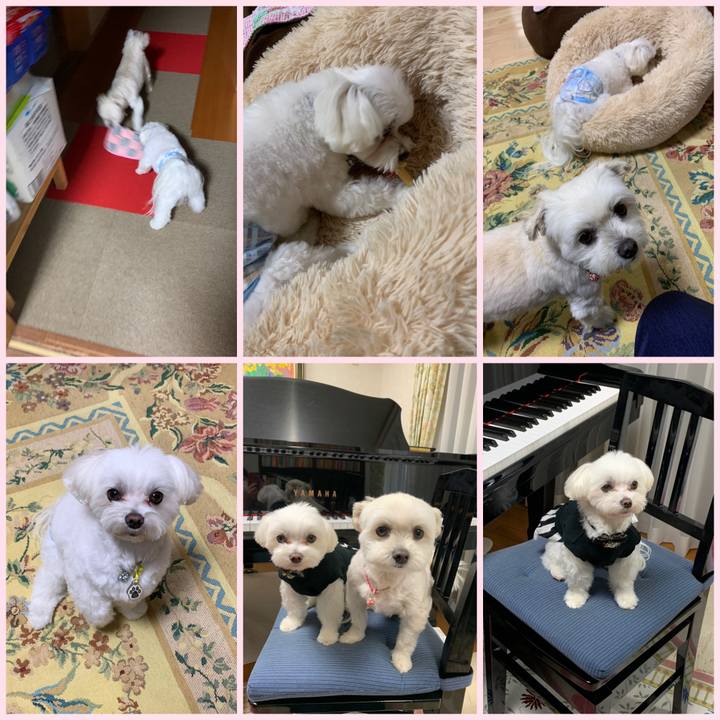 4b5c3da3 5e86 4849 82c3 2819ea7e5585 1619683163200