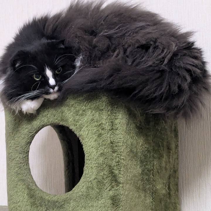 4b5c57a3 c8dc 4193 8519 a6e0b57a1b24 1769500100155